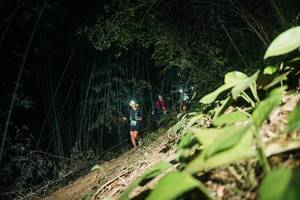 BIB: 
                            <button type="button" onclick="openModal(28117666)" class="btn btn-primary btn-sm float-right btn-popup" data-toggle="modal" data-target=".modal-high-quality">
                        <i class="fas fa-shopping-cart"></i> Add to Cart
                    </button>
                                            <button type="button" onclick="isThisMe(28117666, true)" class="btn btn-success btn-sm float-right btn-popup btn-isme hidden" data-toggle="tooltip" data-placement="bottom" title="นี่คือรูปของคุณใช่ไหม คลิกที่นี่เพื่อเอาเข้าอัลบั้ม">
                        <i class="fas fa-plus"></i> Add to album
                    </button>
                    <button type="button" onclick="isThisMe(28117666, false)" class="btn btn-warning btn-sm float-right btn-popup btn-isnotme hidden">
                        <i class="fas fa-ban"></i> Remove from album
                    </button>